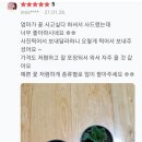 다다플라워 이미지