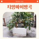 2697 | 대전 여행 이국적인 느낌의 소제동 맛집, 치앙마이방콕