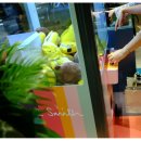 스미스인형뽑기 이미지