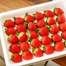 다대농장 이미지