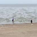 원석민박3 이미지