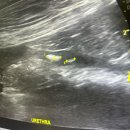 VIP동물의료센터 동대문점 이미지