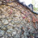 곡성군청 이미지