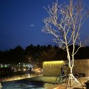 스트란트(THE STRAND) 이미지