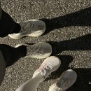 H 밸런스 | 뉴발란스 러닝화 프레쉬폼 W108014H 정사이즈 후기