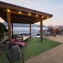 디어마이펫 이미지