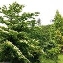 햇살그린농장 이미지