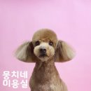 뭉치네 미용실 이미지