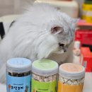 무릎냥이동동이네 - 김해시 장등로 15 | 무릎냥이 동동이네 고양이트릿 구매 후기 묘생묘미 북어트릿부터 열빙어까지 5종 솔직후기!