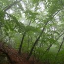 우중산행의 정취 – 불암산,수락산,은선동계곡,은류폭포 이미지