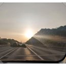 새울목장 | 진달래메모리얼 파크에 다녀오다.