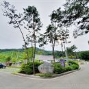 선산체육공원 체육시설 이미지