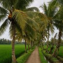 카라시스템(주) 이미지