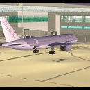 [Denaks Air 2nd Generation] Charter Flight 뉴욕 → 프린세스 줄리아나 이미지