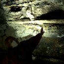 생각키움한자 이미지