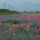 물금취수장 이미지