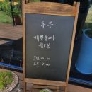 백양지 이미지