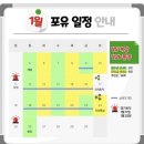 아이린학원 | 강남토익학원 추천, 소수정예 YBM포유토익 내돈내산 수강후기