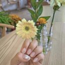 서라아파트 | 무안 가화뷰티 네일아트 속눈썹 추천🩷🩷