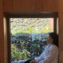 제주 성산 가성비 독채 동쪽숙소 추천 휴일기록 WOOD 후기