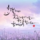캘리그라피 중급 이미지