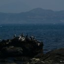 [가파도 청보리축제] 푸른물결에 빠져드는 신비한 섬<섬속의섬> 이미지