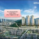 마루사이주 이미지