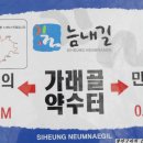 늠내길 1코스 숲길 이미지