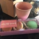 샘나당마카롱 이미지