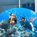 슬아어린이집 | 전남/목포 @목포어린이바다과학관 / 실내 아이랑가볼만한곳