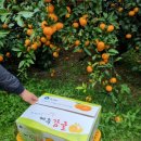 철만농장 이미지