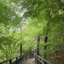 올레길 산림형 1코스 | [공지] □ 신정산 자락길 □