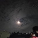 링코노래타운연수 네이버블로그