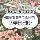 프루데이 | 추석선물, 상견례 선물로 좋은 예쁜 과일바구니 프루테리아 내돈내산 후기