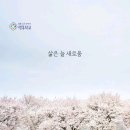 늘새로움