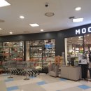 봄나드리투어 이미지