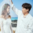 에이펙스코퍼레이션