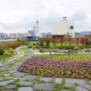서구청 옥상생태공원 이미지