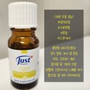 신진덴탈 | (내돈내산) 옥주현탈모레시피 (강추) 정수리케어대만족 유스트 칵테일 각 오일별 효능 정리