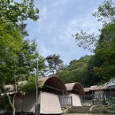 112 | 과천 서울대공원 캠핑장 | 112번 후기 (예약, 취소표, 명당, 매점)