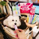 루다목장 | 애견간식 추천, 강아지 치매 위한 별자리스틱 생유베리마치