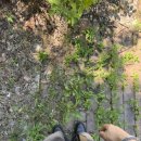 공릉유도스쿨 이미지