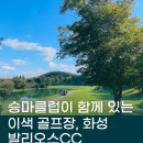 발리오스골프연습장 | 발리오스CC · 승마클럽과 함께 있는 이색 회원제 골프장
