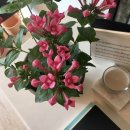 (주)아이들팜 이미지