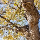 또오실마을 이미지