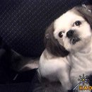 신평1동-14 이미지