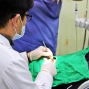 청주지웰유디치과의원 네이버블로그