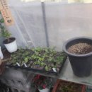 삼도자동차정비 이미지