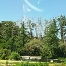 둥지세차장 이미지