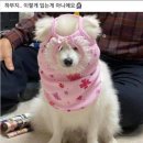 복 이미지
